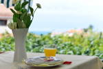 Apartment Laura - Istria Rentals