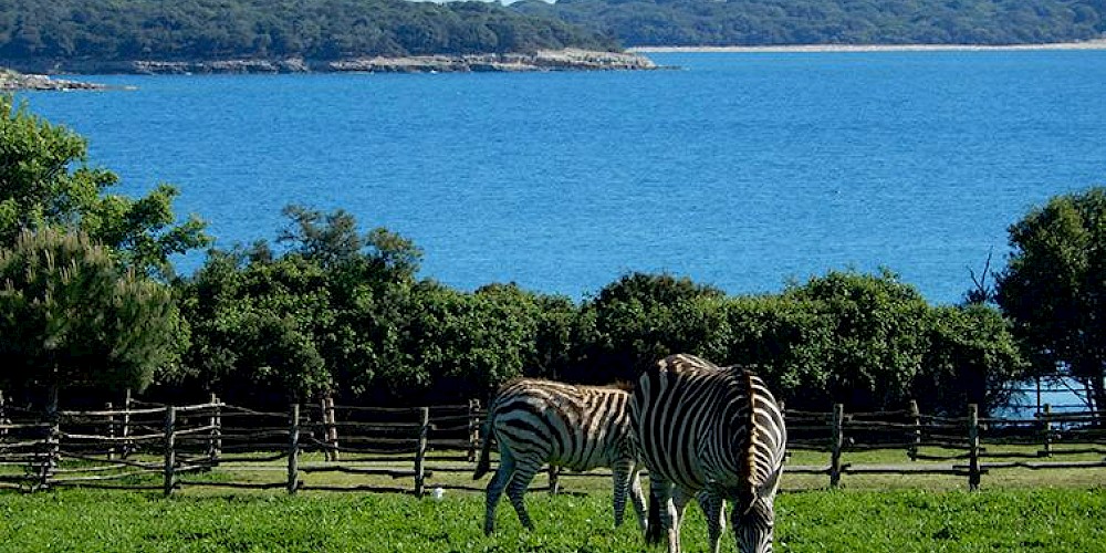 Istria Rentals - National park Brijuni - 