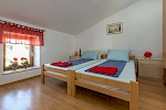 Apartment Ida - Istria Rentals