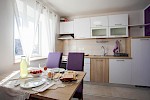 Apartment Josipa near Poreč - Istria Rentals
