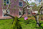 Villa Viola - Istria Rentals