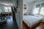 VILLA ADRIANA A2 - Istria Rentals