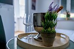 VILLA ADRIANA A1 - Istria Rentals