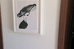 Apartment Vidikovac - Istria Rentals