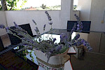 Apartment Anica 4+2 - Istria Rentals